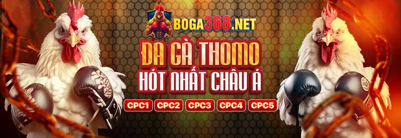 Đá Gà Trực Tuyến 68gb Android